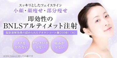 BNLSアルティメット