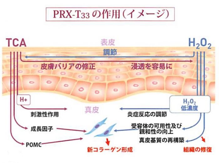 PRX-T33の作用イメージ
