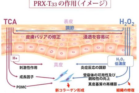 マッサージピール薬剤「PRX-T33」の皮膚への作用イメージ
