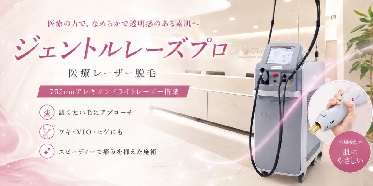 ジェントルレーズプロFV