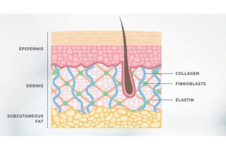 層に合わせて選べる3つのタイプ
